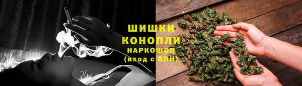 спайс Баксан