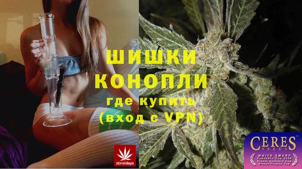 спайс Баксан