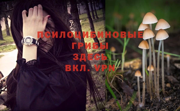 спиды Балабаново