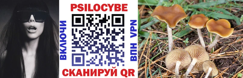 купить наркоту  Котельниково  Галлюциногенные грибы Psilocybe 